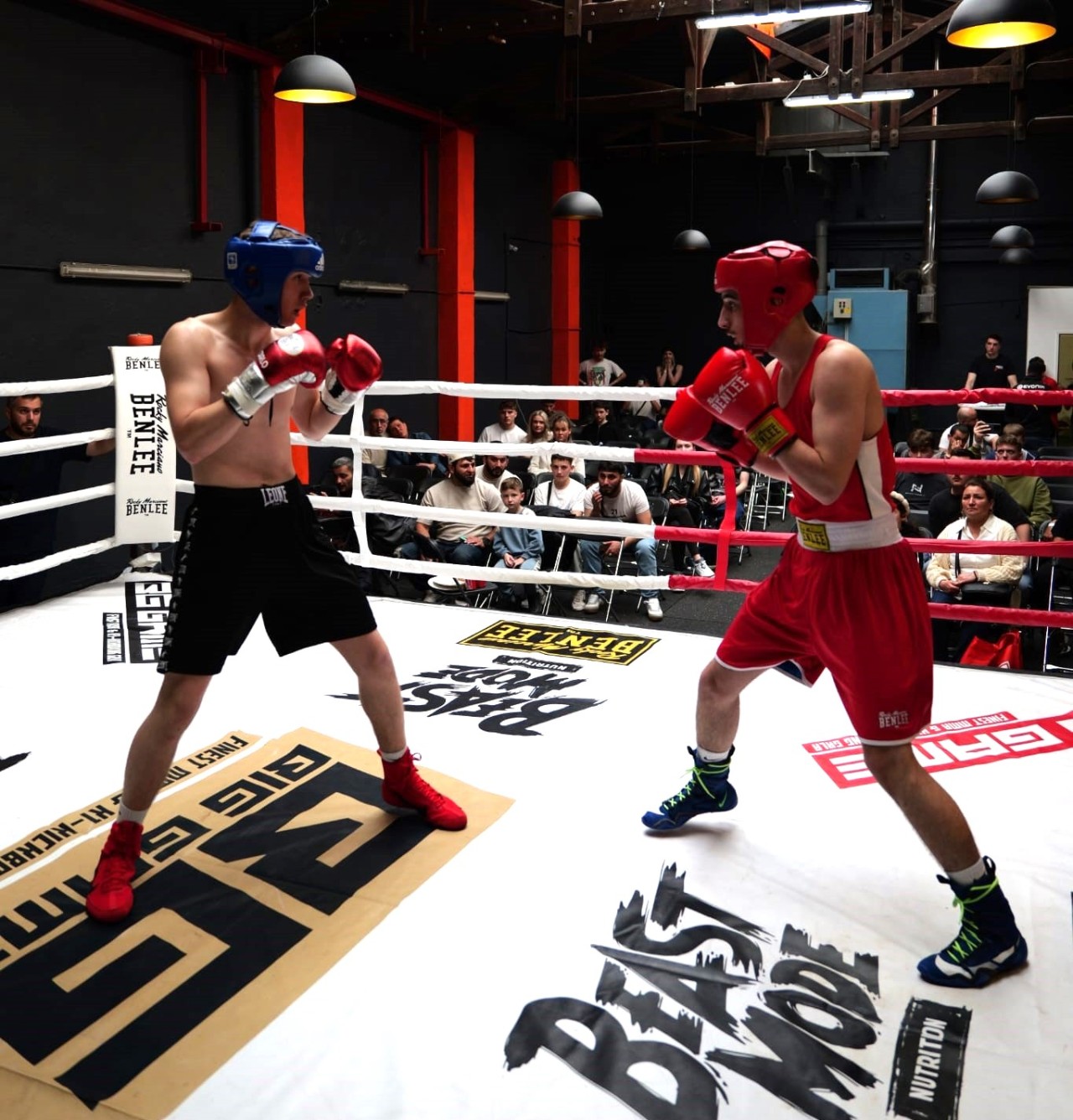 Almaniyadakı diasporumuzun təşəbbüsü ilə boks turniri keçirilib - FOTOLAR